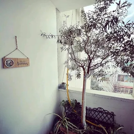 Cozy & Stylish Διαμέρισμα Τίρανα