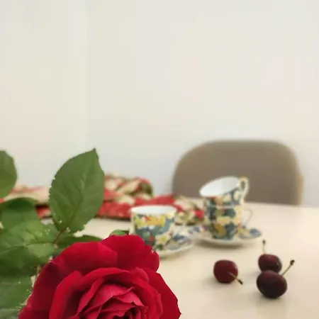 Cozy & Stylish Tirana