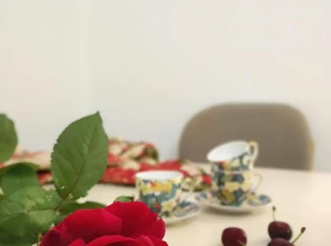 Cozy & Stylish טיראנה